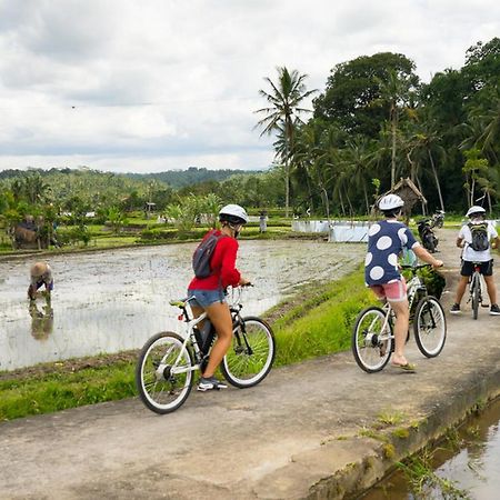 White Villa Ubud מראה חיצוני תמונה