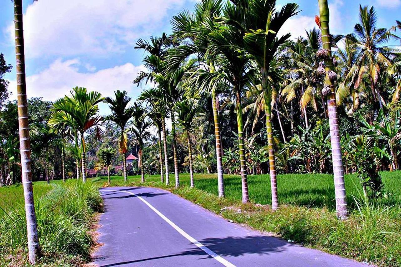 White Villa Ubud מראה חיצוני תמונה
