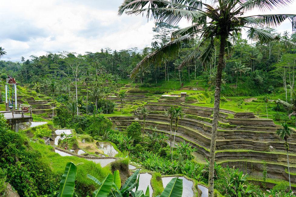 White Villa Ubud מראה חיצוני תמונה